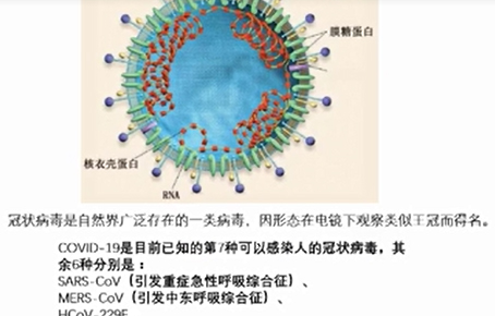 正确认识病毒，科学有效防控——北京市第二十中学生物教研室解读“新冠病毒”