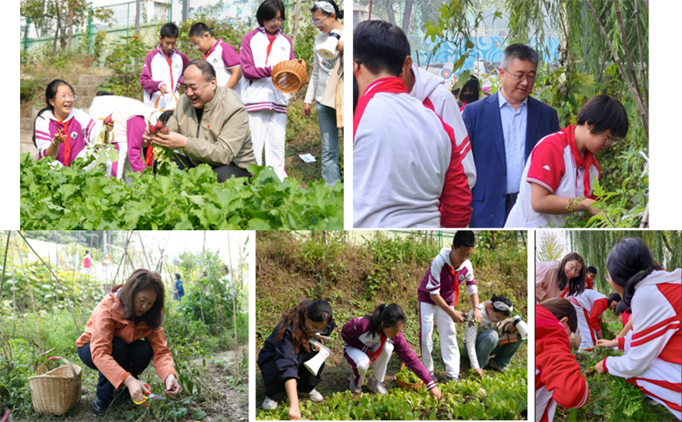 躬耕乐道,秋实满园 | 第三届校园丰收节圆满落幕!