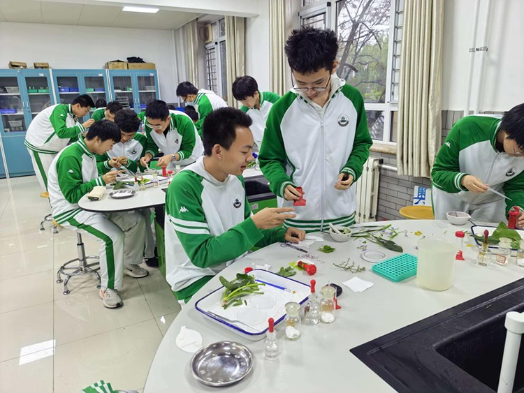 生物实验决赛落幕，科学美育相融——高一年级生物“问鼎杯”实验大赛