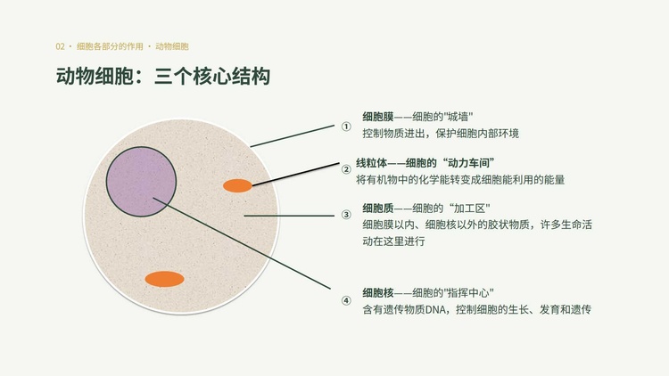 幻灯片8.jpg