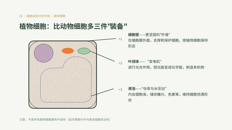 幻灯片9.jpg