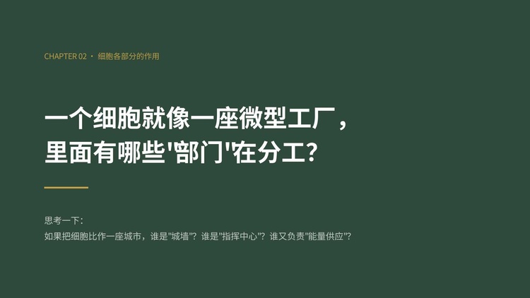 幻灯片7.jpg