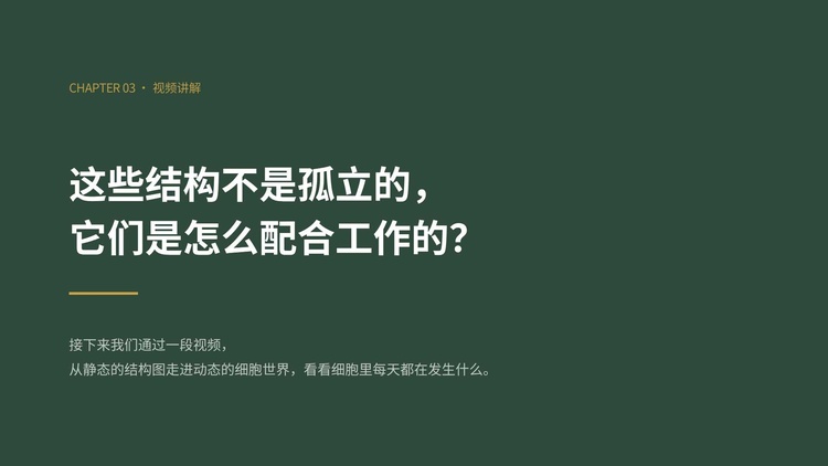 幻灯片11.jpg