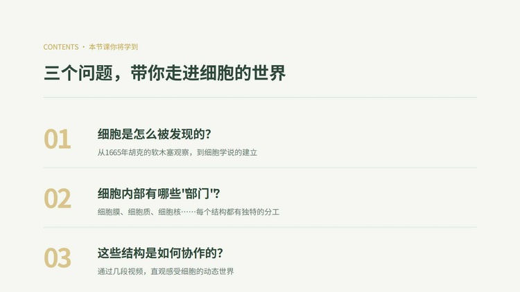 幻灯片2.jpg